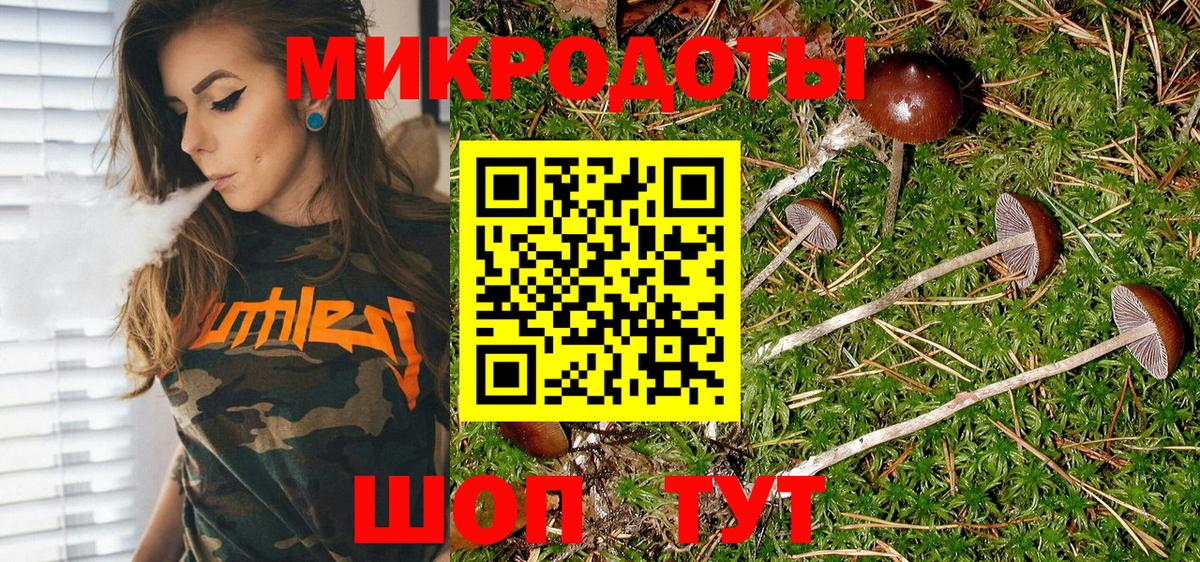 Псилоцибиновые грибы Cubensis Азнакаево